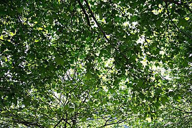 《闪电十一人 英雄们的胜利之路》延期至2024年